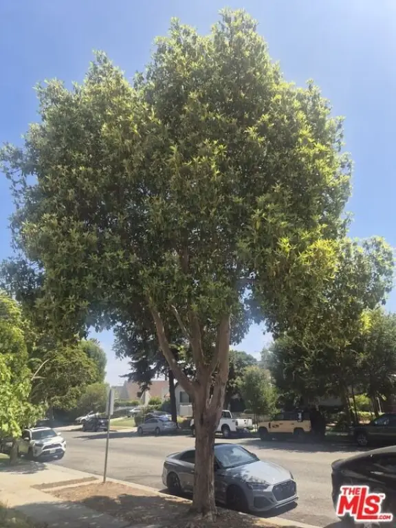 Picture 14