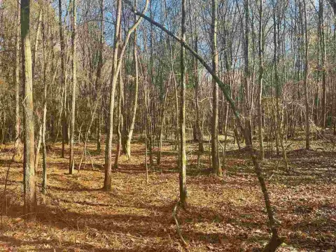 80 Acres Prime Hunting Land