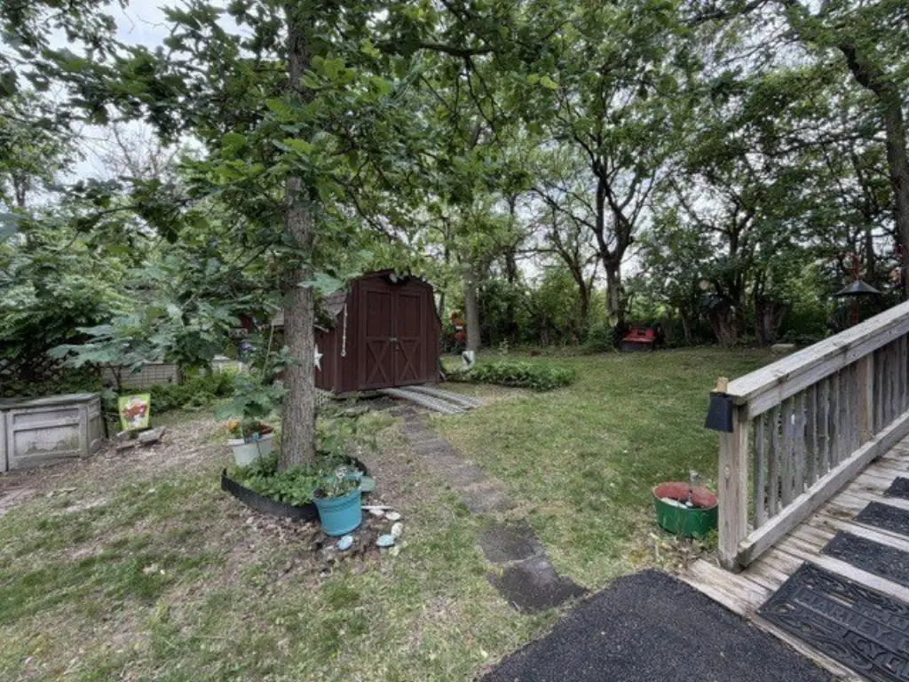 Picture 25