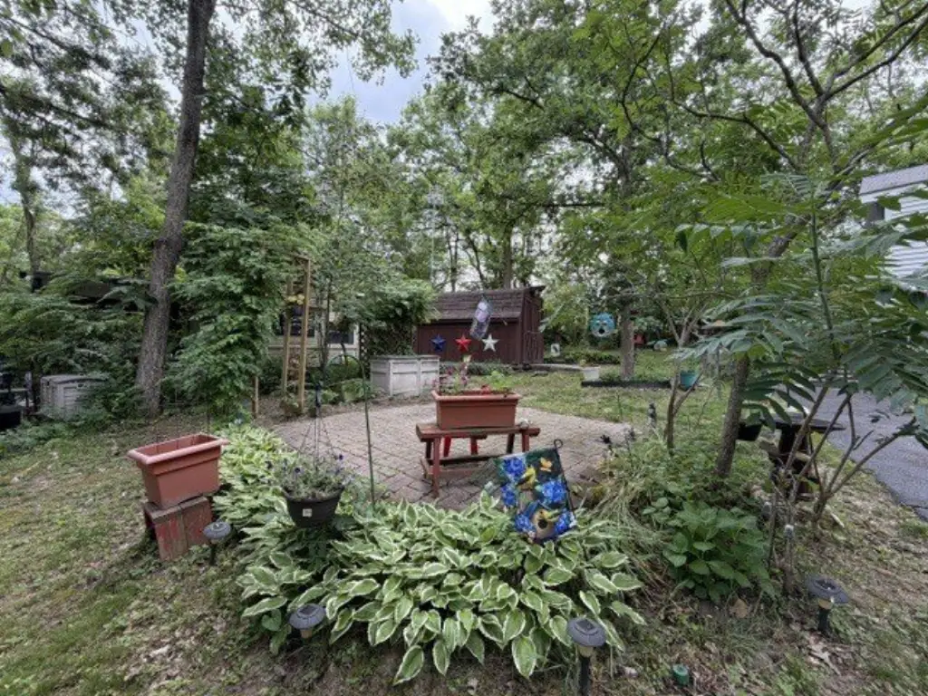 Picture 23