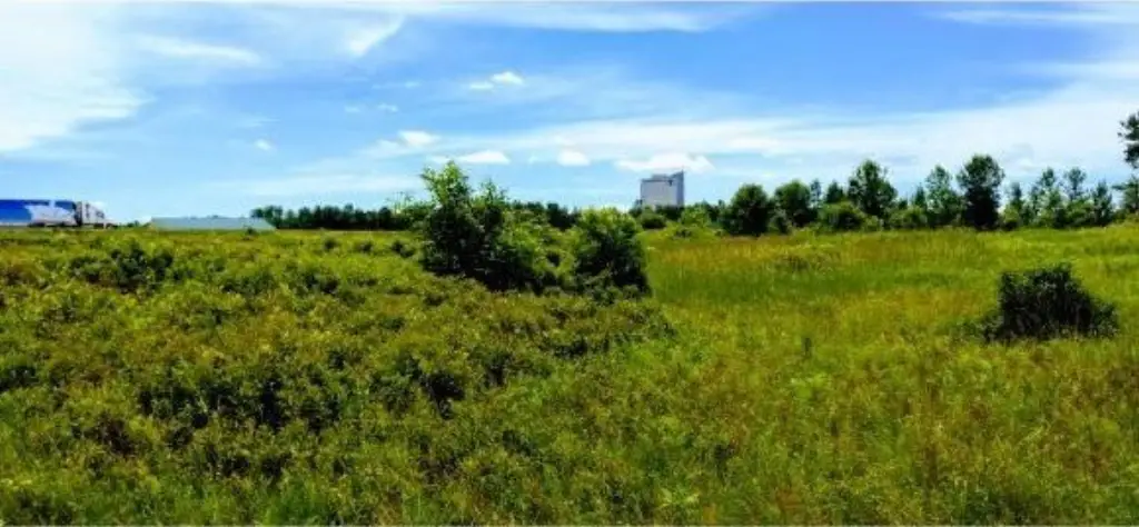 Picture 4