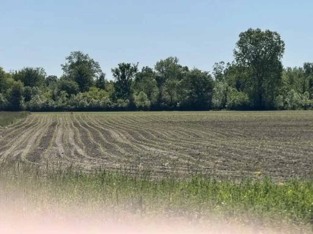 Picture 4