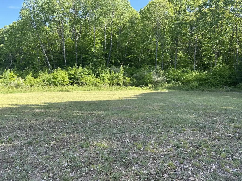 Picture 15