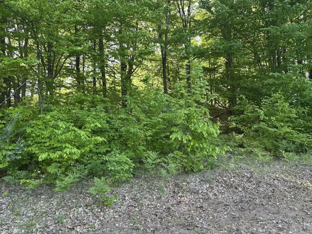 Picture 20