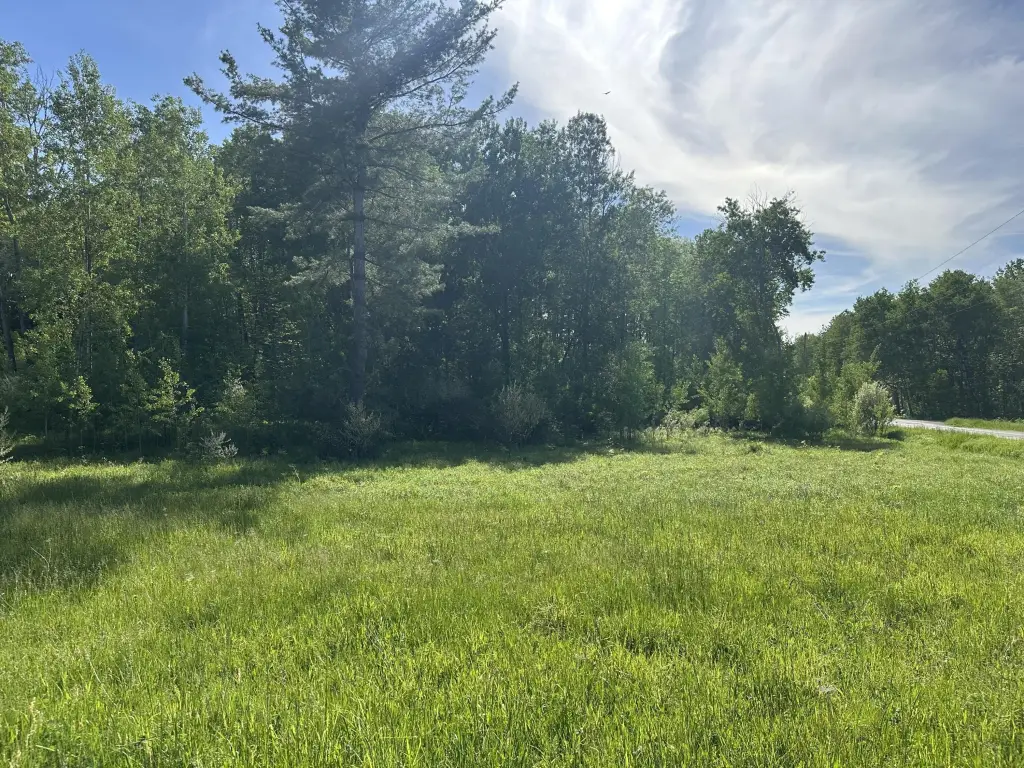 Picture 23