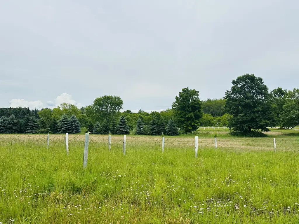 Picture 10