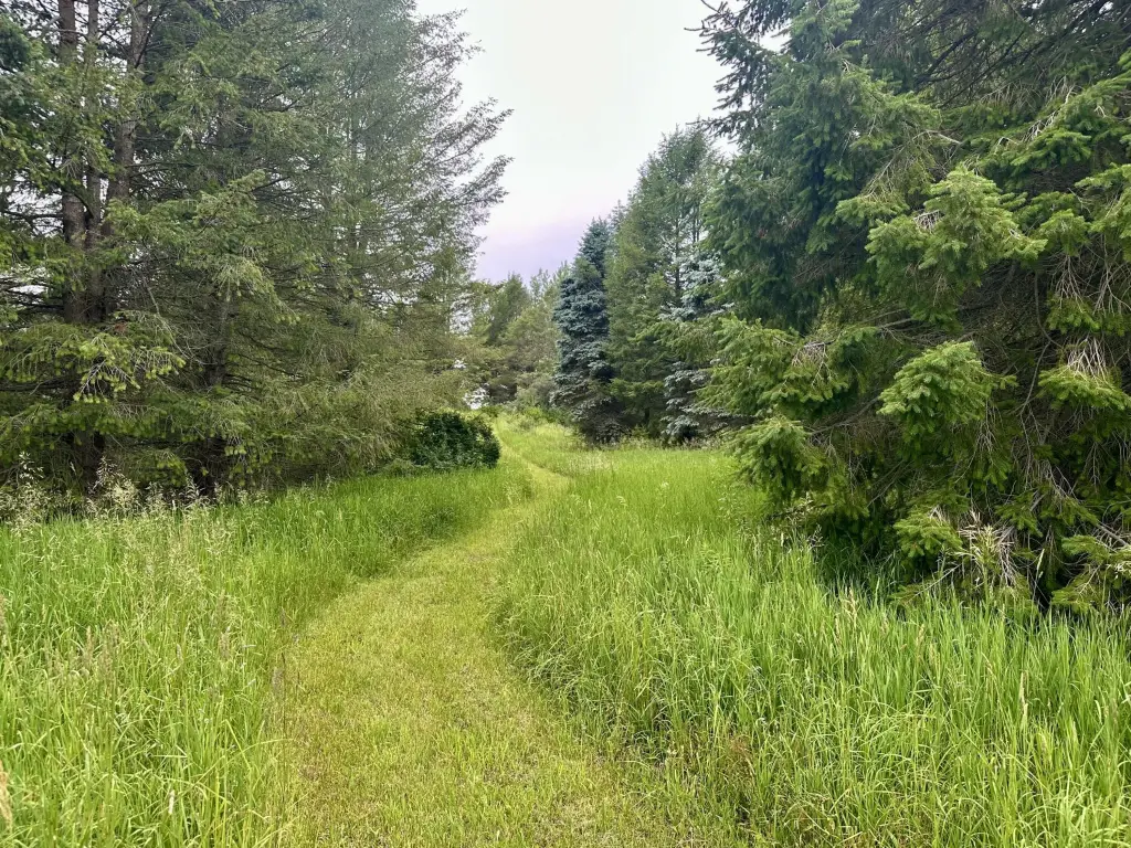 Picture 35