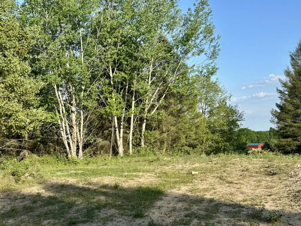 Picture 29