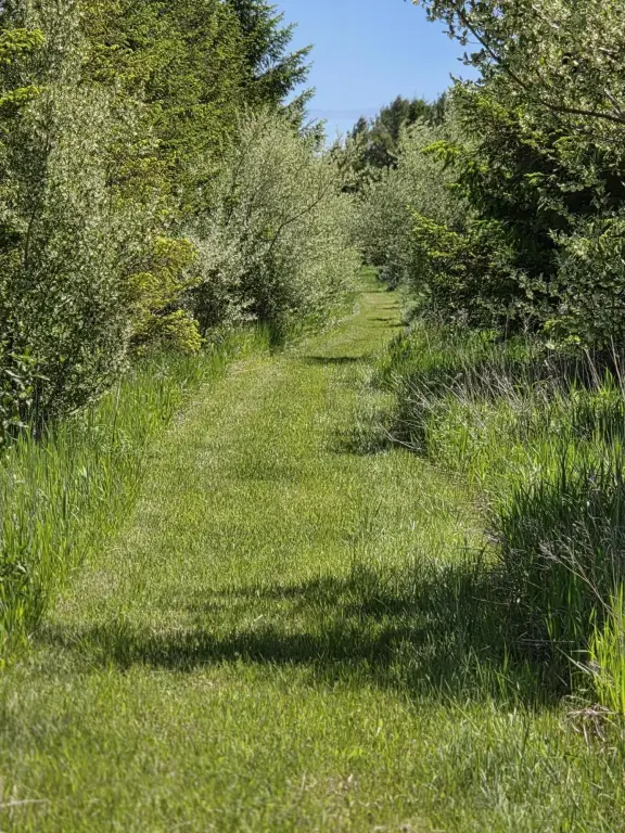 Picture 27