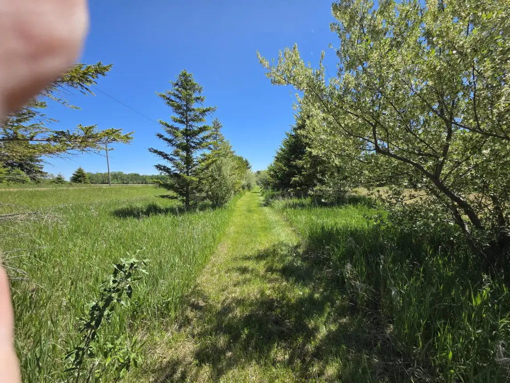 Picture 6