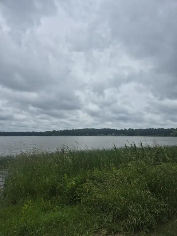 Picture 4