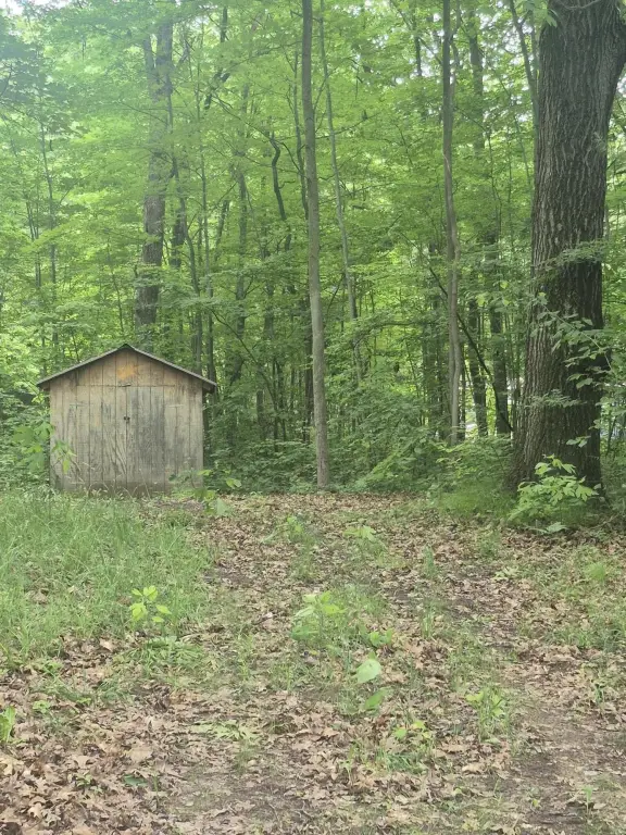 Picture 6