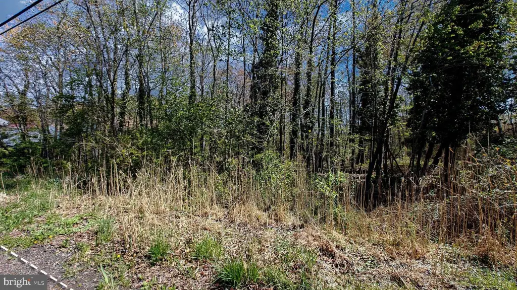 Picture 16