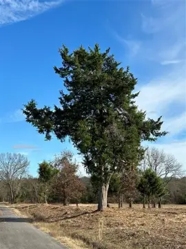 Unrestricted Land in Arthur City