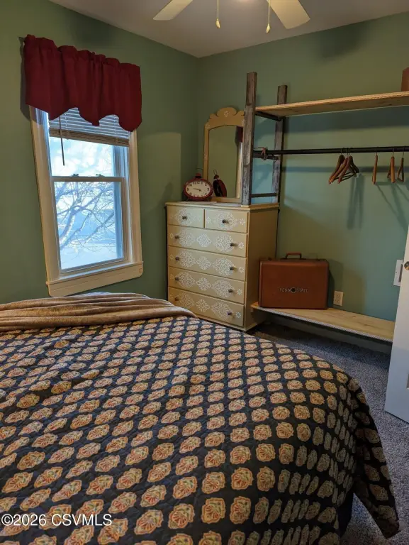 Picture 29