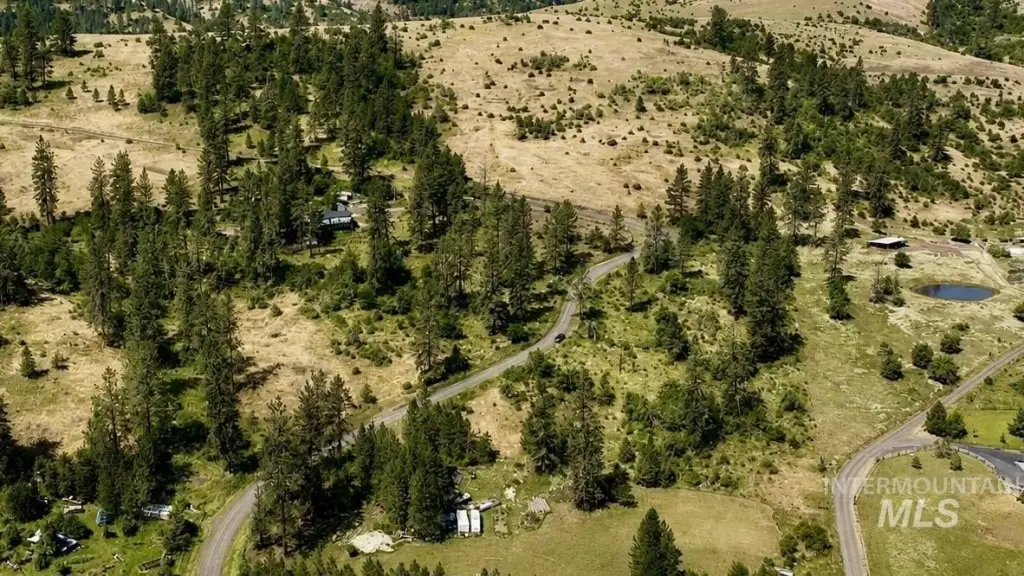 Picture 12