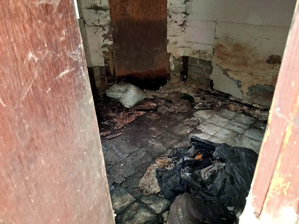 Picture 24