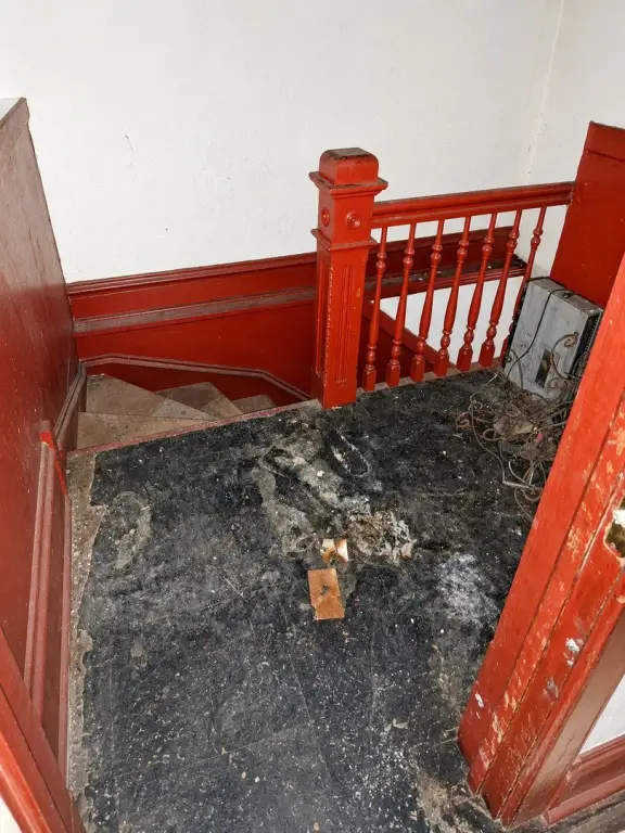 Picture 16