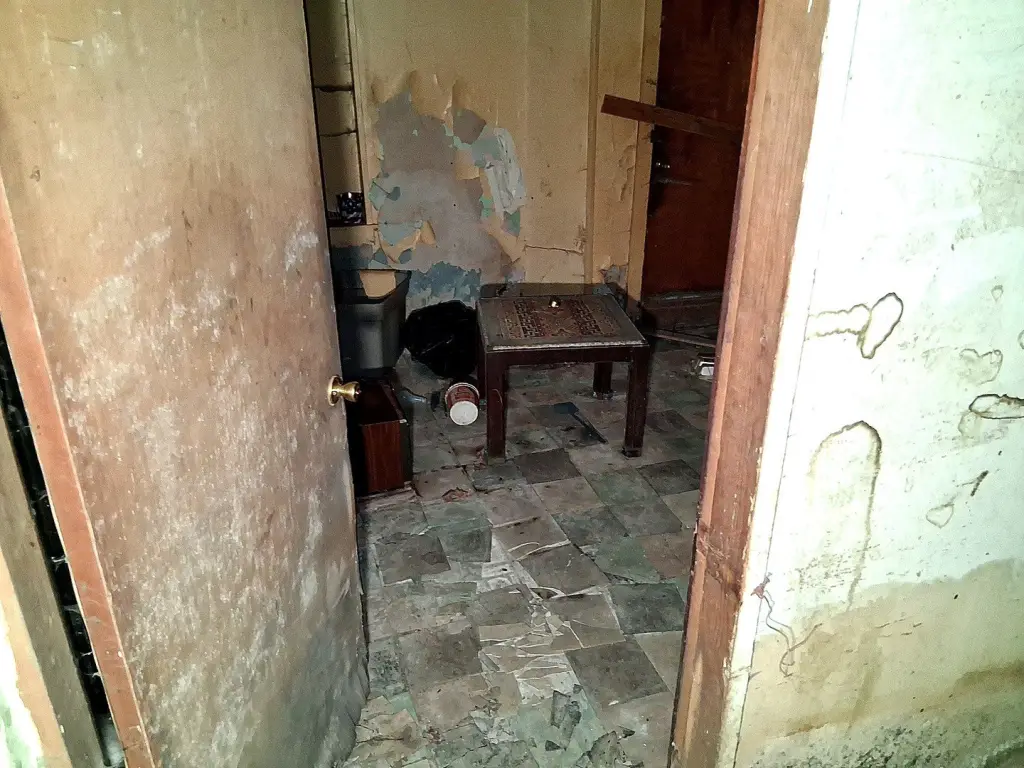 Picture 22