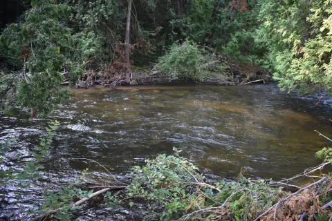 Land with Sturgeon River View