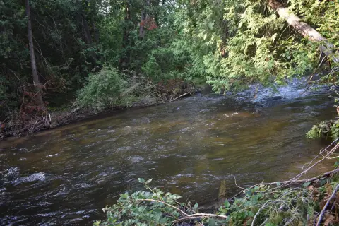 Land Near Sturgeon River, Wolverine