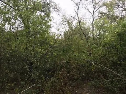 Unimproved Land in Mexia, TX