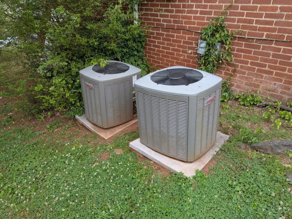Picture 28
