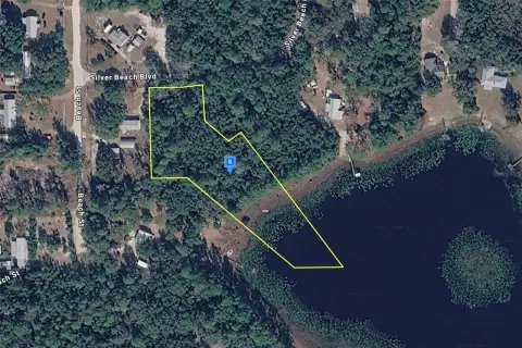 Wooded Waterfront Land
