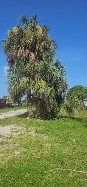 Picture 8