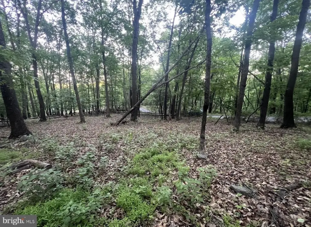 Picture 12