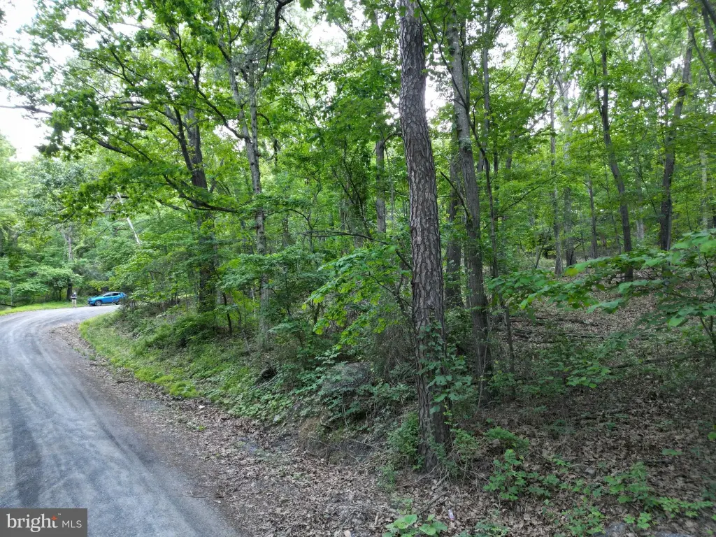 Picture 14