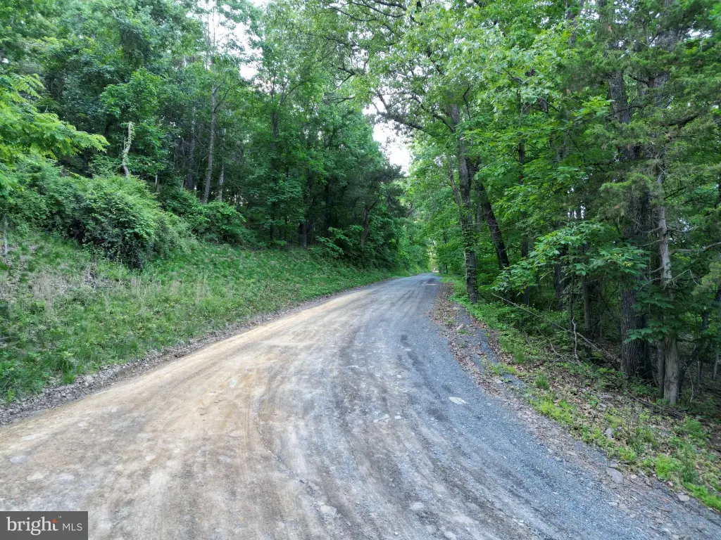Picture 15