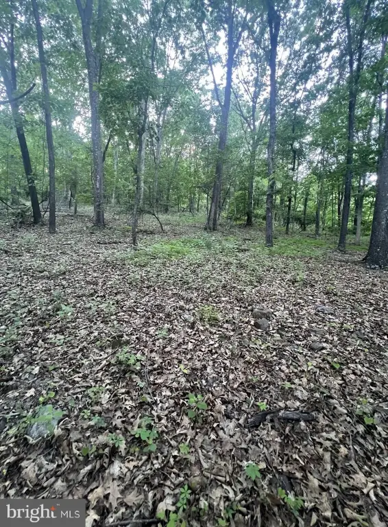 Picture 13