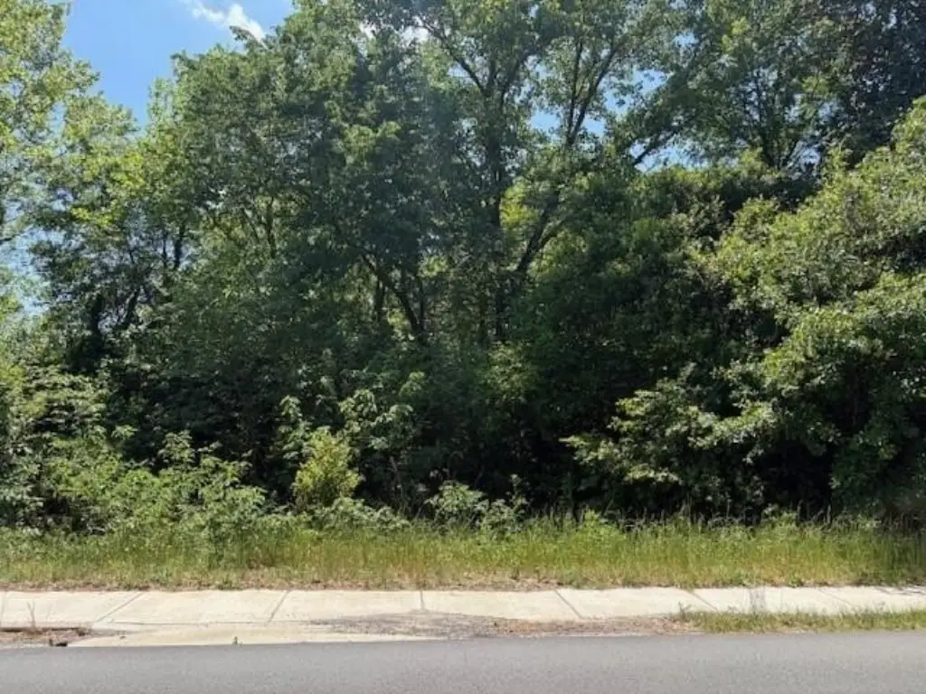 Picture 6