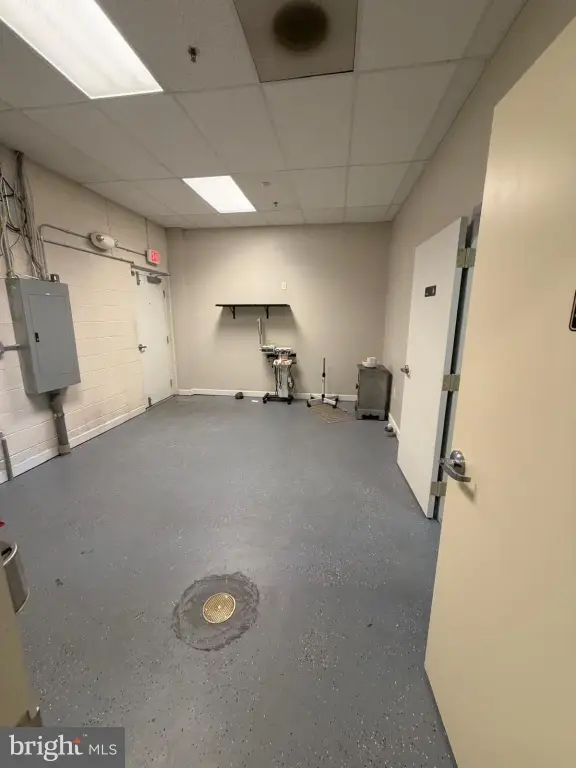 Picture 19