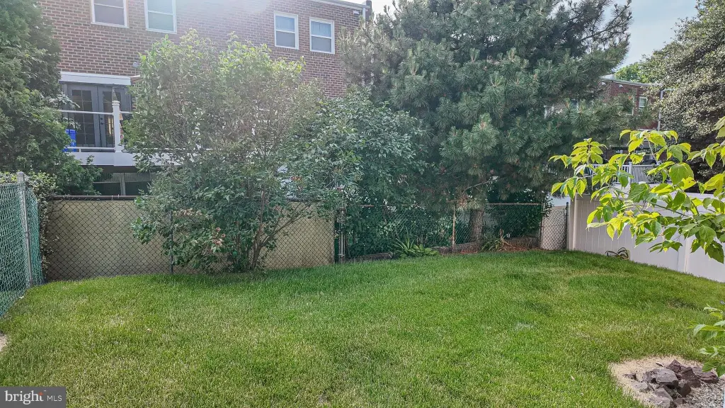 Picture 24