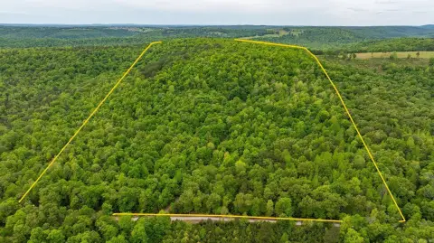 Arkansas Timberland with Rustic Cabin