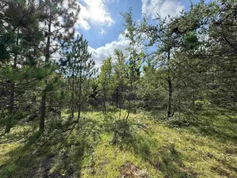 Wooded Land Near State Land