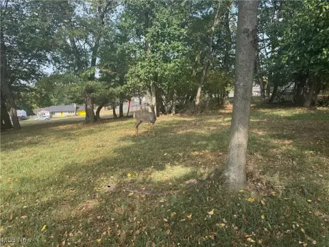 Residential Building Lot in Zanesville