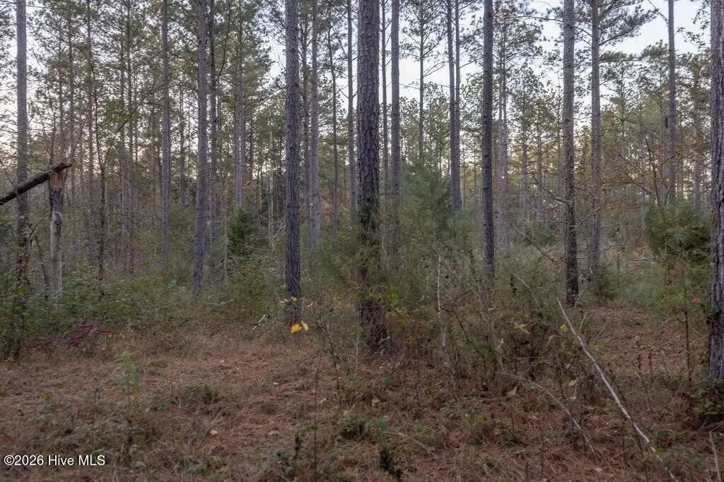 Picture 11