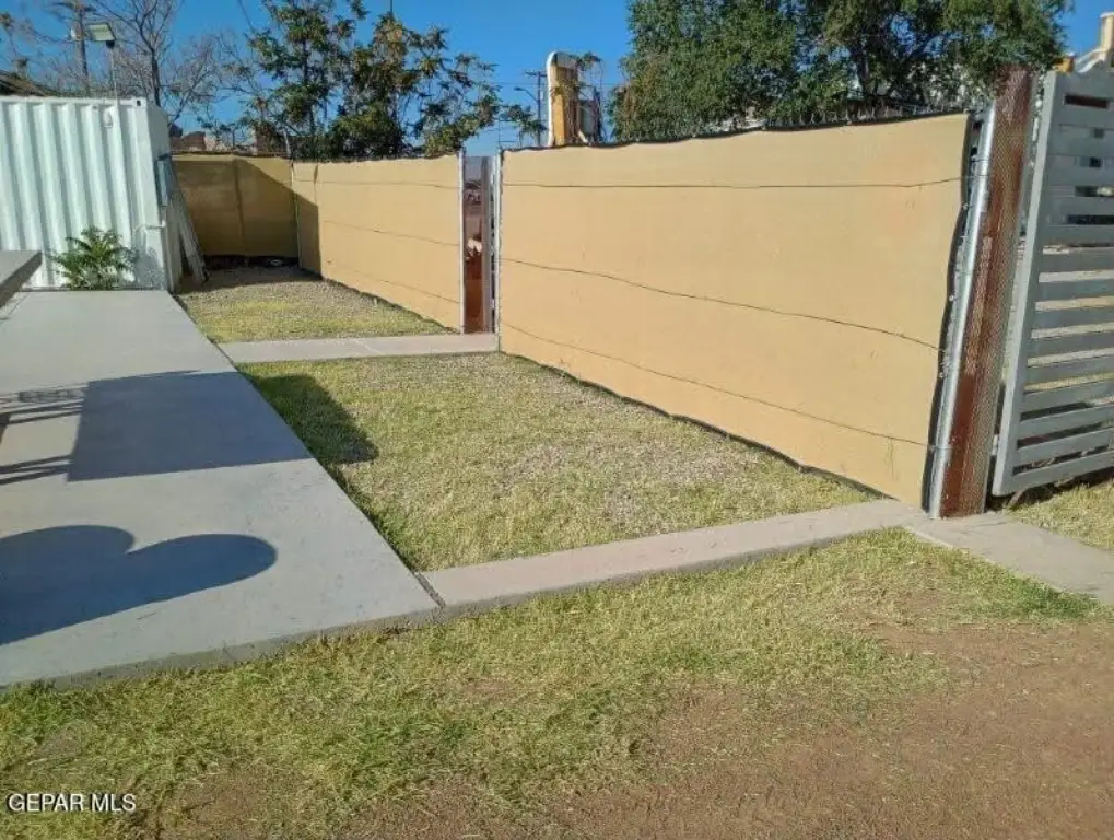 Picture 5
