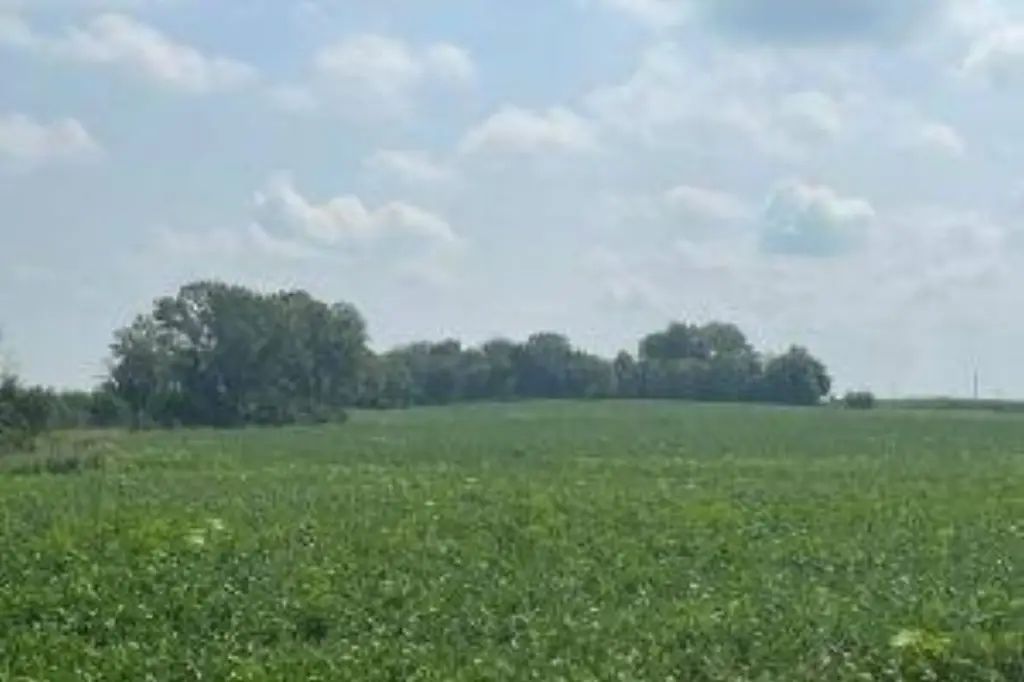 Picture 4