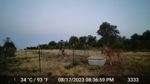 20 Acres of Hunting Land