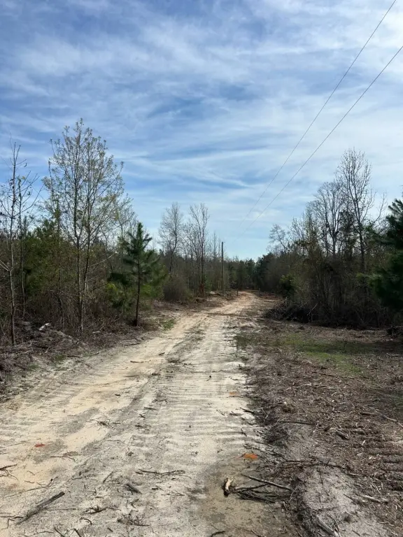 Picture 15