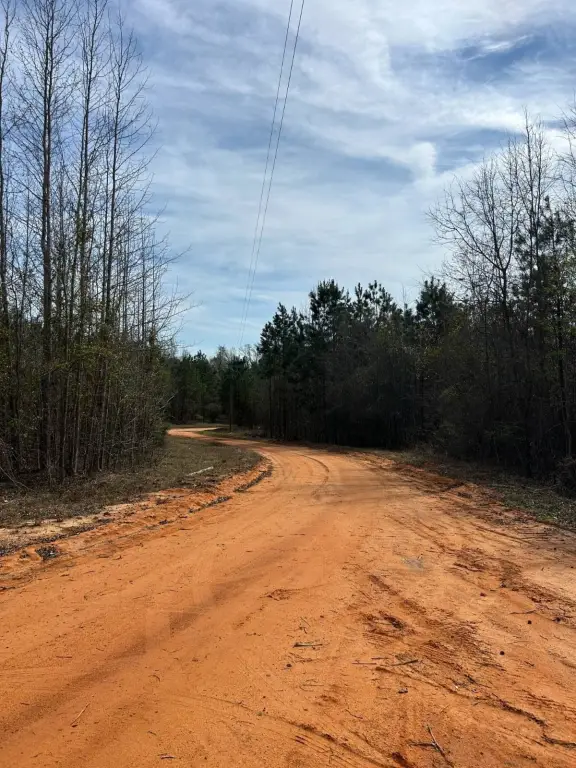Picture 18
