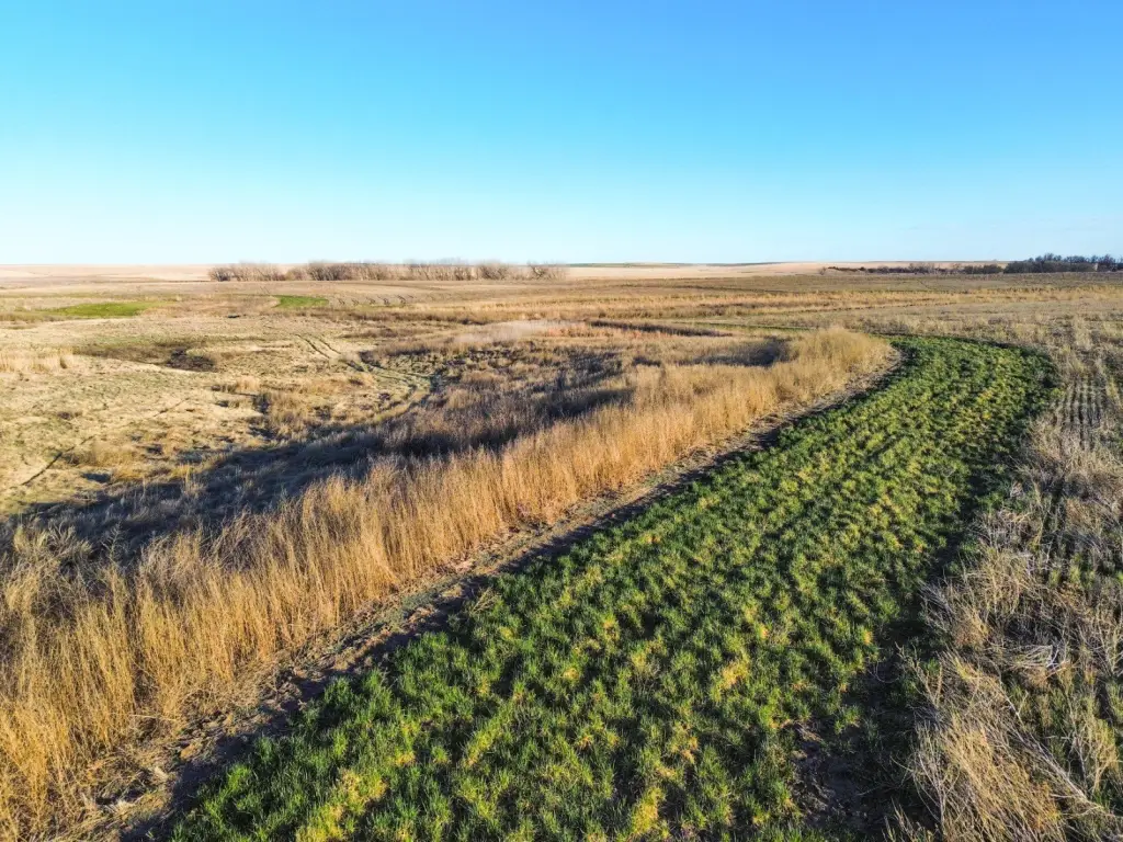Picture 44