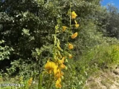 Keystone Heights Land for Sale