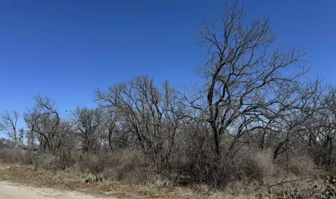 Residential Lot Near Lake LBJ