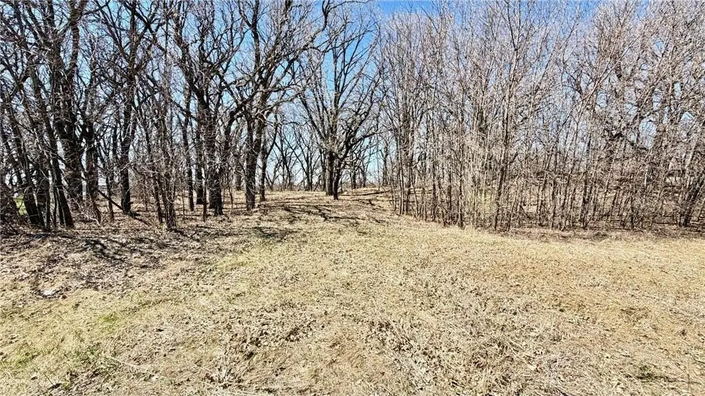 Picture 9