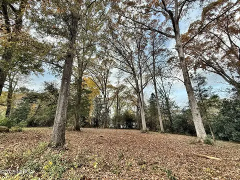 Residential Lot Near Downtown Forsyth